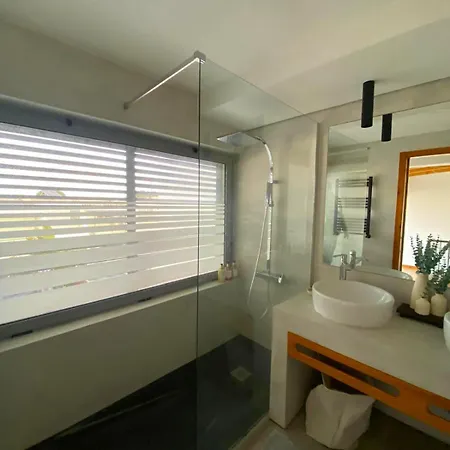 Trevo House - With Private Pool Bicas